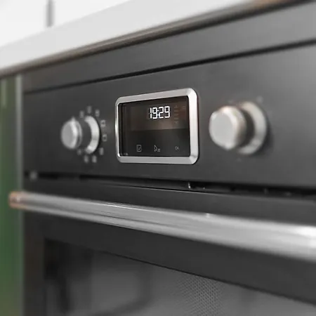 Panther Right In The Of Apartment