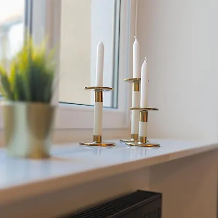 Panther Right In The Of Appartamento